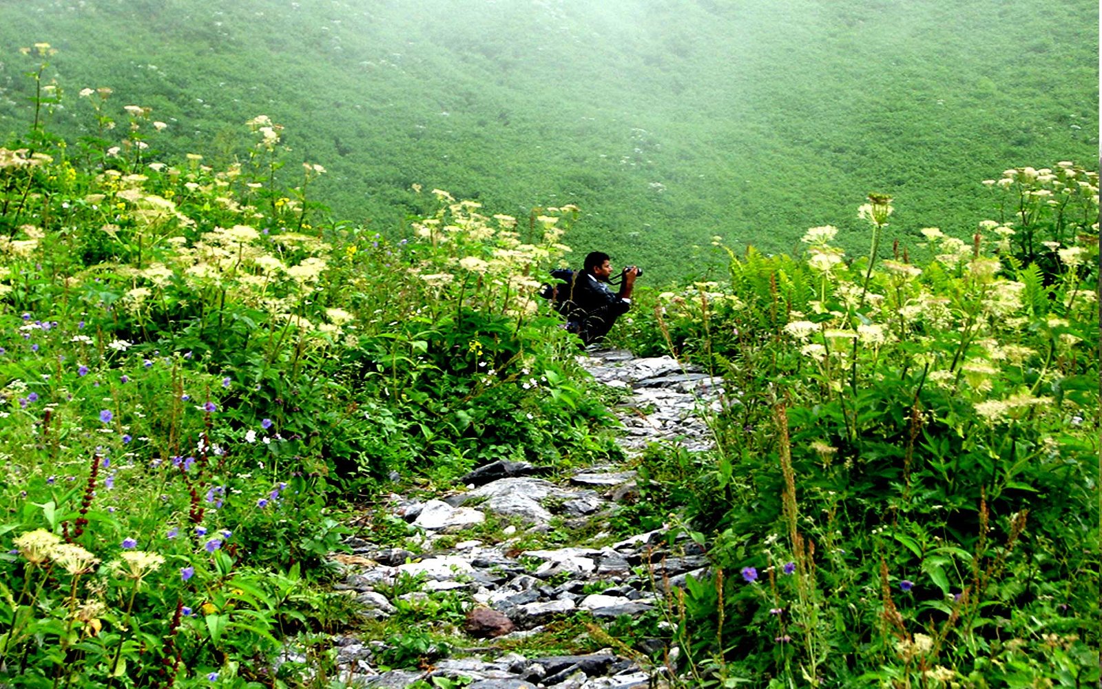 Valley of Flowers Trek